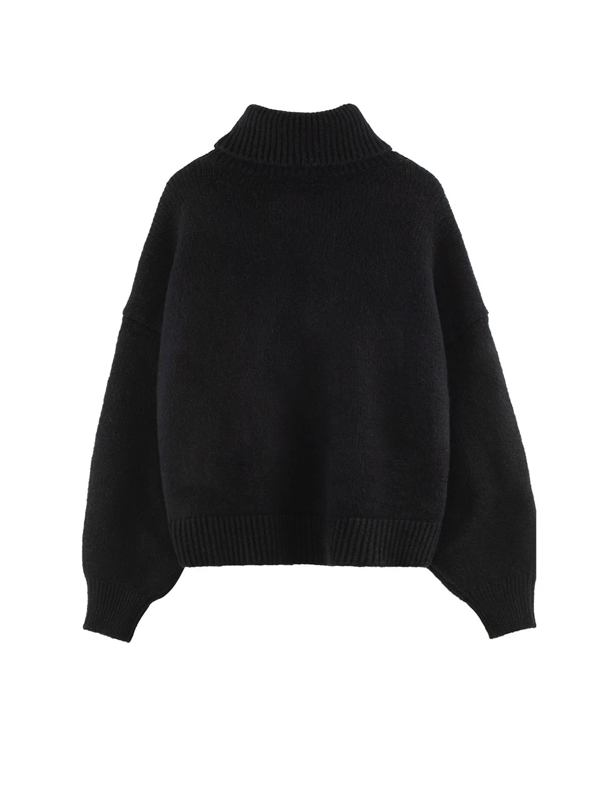 Airspun Relaxed Turtleneck